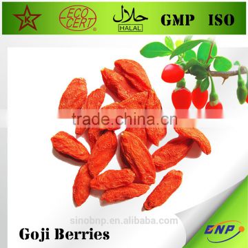 Chinese Factiry Sun Dried Goji Berry With HACCP ISO HALAL