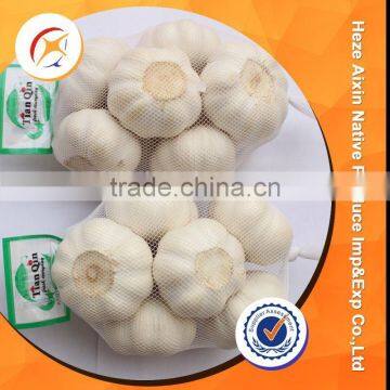 Fresh Garlic 5.0cm 20kg Mesh Bag photo-6