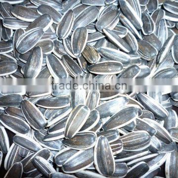 new crop sunflower seeds in shell 20/64,22/64,24/64