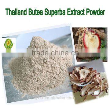 Butea Superba Extract Powder for Male Sexual Functions