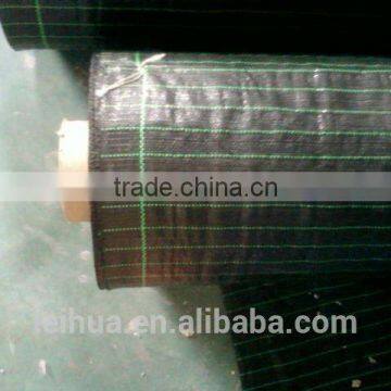 Manufacture Woven Polypopylene Geotextile