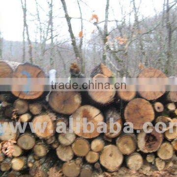 OAK fire branches
