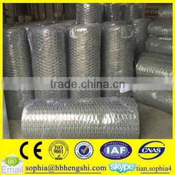 chicken wire mesh/anping hexagonal mesh for sale