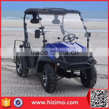 4KW Single Seat Electric Golf Cart