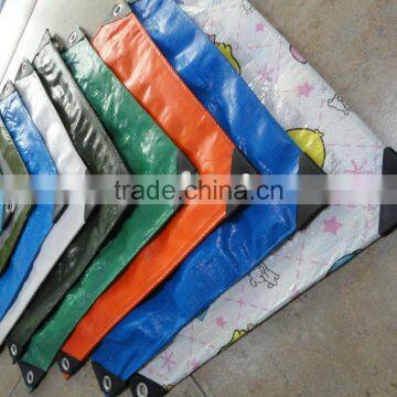 Wholesale PE Tarpaulin with Various Size,Colors.