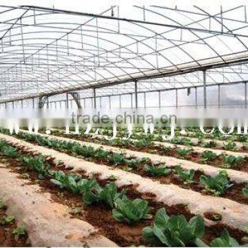 Multi-span Greenhouse