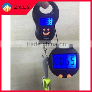 Easy Carring Portable Electronic Mini Digital Weighing Scale