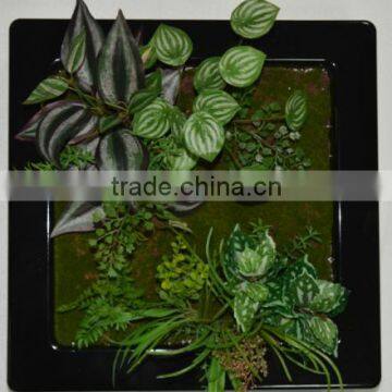 SJ400930 ARTIFICIAL CACTUS ARRANGEMENT photo-3