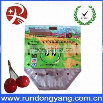 Stand Up Pouch Fruit Packaging Bag With Handle photo-6