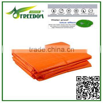 PE Tarpaulin Sheet for Car Parking Shed photo-2