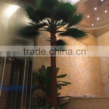 Indoor Artificial Plastic Palm Trees Environmental Friendly Artificial Plants photo-3