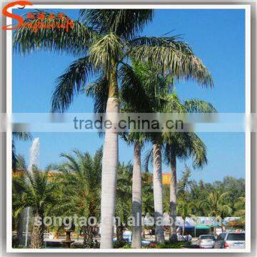 Led Palm Tree Light Led Outdoor Solar Tree Lights Coconut Palm Tree photo-2