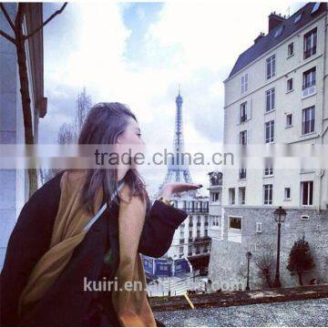 Super Quality Scarf Luxury Brand Cashmere Scarf Women Poncho Duplex Winter Cape Shawls and Scarves Pashmina Shawls photo-4