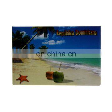 republica dominicana sea side landscape fridge magnet