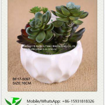 Home Garden Decoration Artificial Succulent