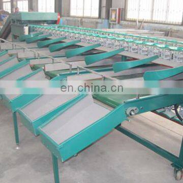 Apple Dates Size Grading Sorting Machine/mango Fruit Grading Machine photo-5