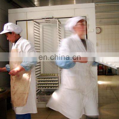 Hot Sale Foods Small IQF Batch Freezer Machine Semi Automatic Quick Freezing Equipment Good Price for Sale photo-3