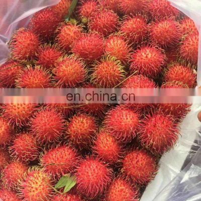 Vietnam Fresh Rambutan - High Quality