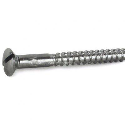 Raised CSK Head Self Tapping Wood Screws , Slotted Raised Countersunk Wood Screw photo-3