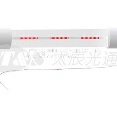 FIBER OPTIC SENSING photo-2