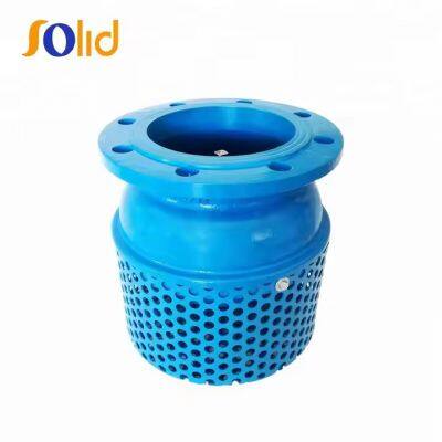 Ductile iron water pump flanged Foot Valve with strainer