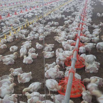 Cheap Hign Quality Design Prefabricated Light Steel Metal Structure Barn Warehouse Shed Buildings photo-5