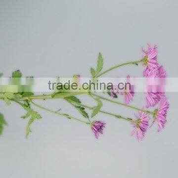 Good Quality Hotsell Factory Direct Flock Chrysanthemum photo-4