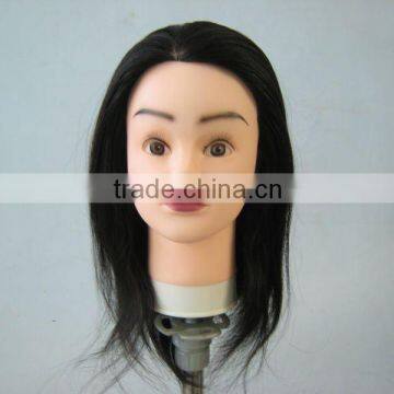 Hot Sale Hairdressing Training head