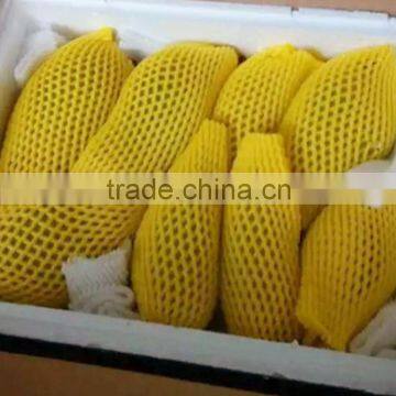 Zhentao foam plastic sleeve net wrap on fruit