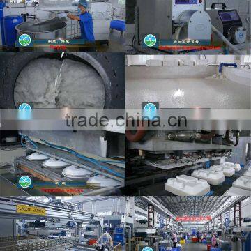 Biodegradable Sugarcane Plates photo-6