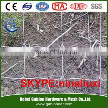 Fixed Knot Game Fence field fence for exporting Australia ,America or Europe pasture