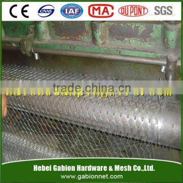 chicken wire mesh/ sheep wire mesh fence