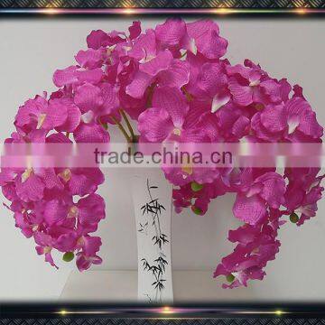 home decoration vanda orchids plants