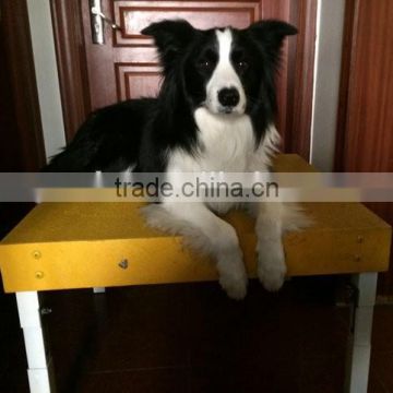 Dog agility pause table