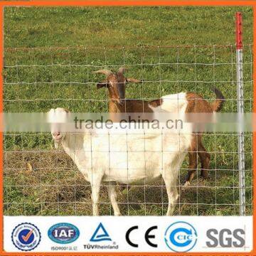 Top saling goat/farm/field wire fence hot sale prices