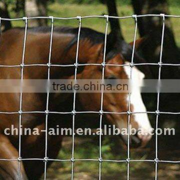 Pvc Coated Holland Wire Mesh Fence/Wire Mesh Fencing(30 years Factory)ISO 9001 TUV Certicaification