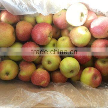 unbagged qinguan apples