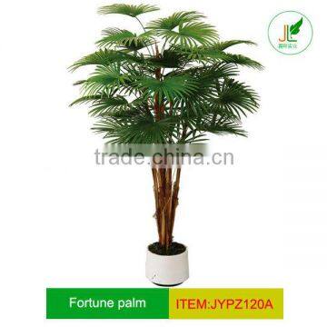 Replica fortune palm tree with real fiber