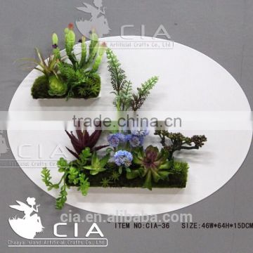 Vertical Garden Succulent Plants Wall Design