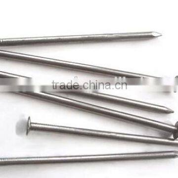 common nails made in China with high quality