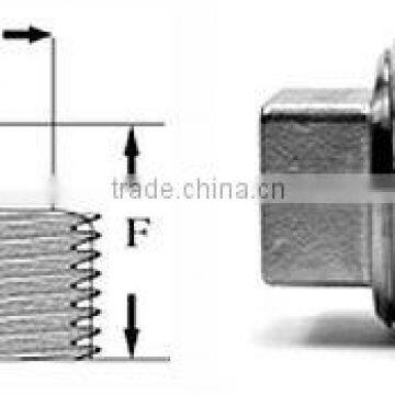 stainless steel Plugs-Square Head