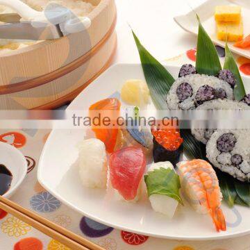 cooking utensils panda rolled sushi nori molds maker set Japanese sushi tools how to make guide 75951