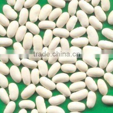 White beans (baisha) with good quality for sale