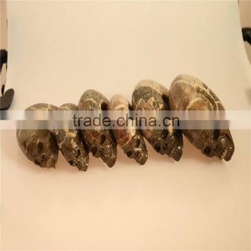 Best Selling Amazing Beautiful Natural Pretty Ammonites Skulls for Wholesale photo-6