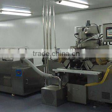 CE Certification Automatic Softgel Encapsulation Machine