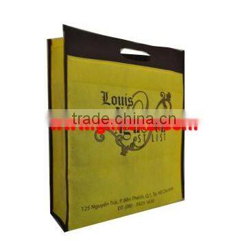 PP non woven shopping bag