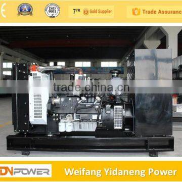 Lovol 50kw Electric Natural Gas Generator With photo-6