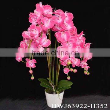 Artificial Plant Orchid Bonsai for Decoration