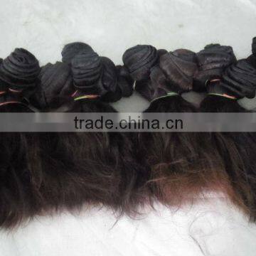 12 inch Double weft No Shedding No Tangle, High Grade 100% virgin human Indian straight hair