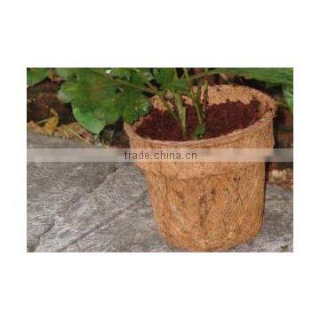 Coir Pot
